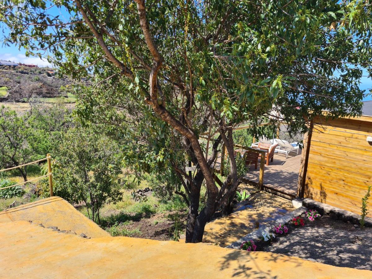 エル・パソ Casa Abuelo Yanoヴィラ エクステリア 写真